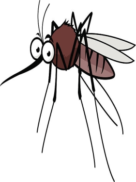 C:\Users\user\Pictures\istockphoto-474155474-612x612.jpg